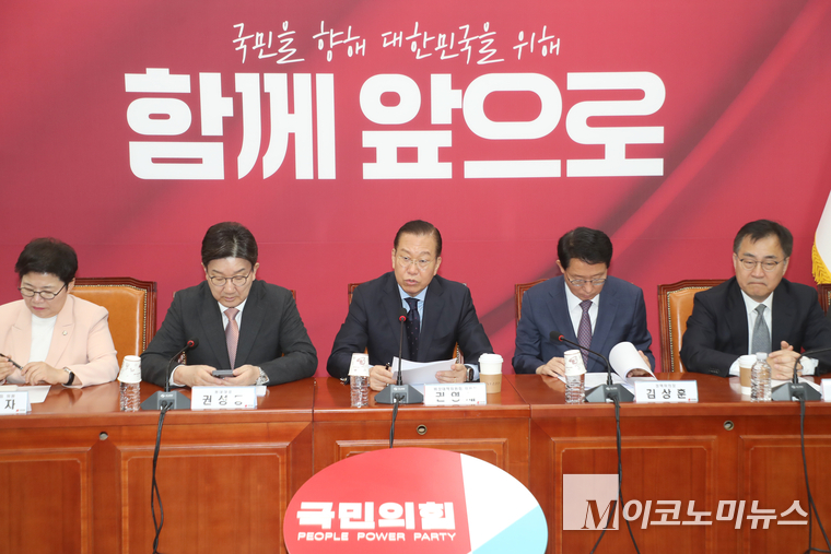 권영세 국민의힘 비상대책위원장이 1일 비상대책위원회의에서 발언하고 있다. 사진=최동환 기자