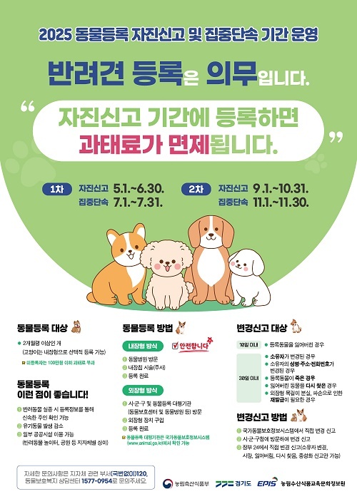 사진 <경기도 제공>