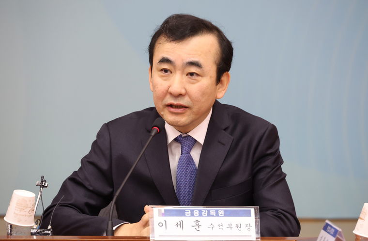 이세훈 금융감독원 수석 부원장이 11일 서울 종로구 정부서울청사 별관에서 열린 보험개혁회의에서 발언하고 있다. 사진=연합뉴스