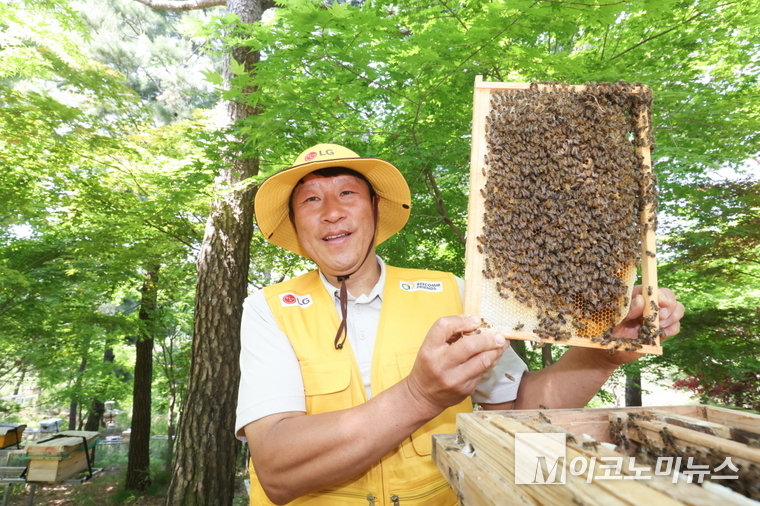 LG가 조성한 토종 꿀벌 서식지에서 김대립 명인이 꿀벌통을 들어 보이고 있다. 사진=LG 