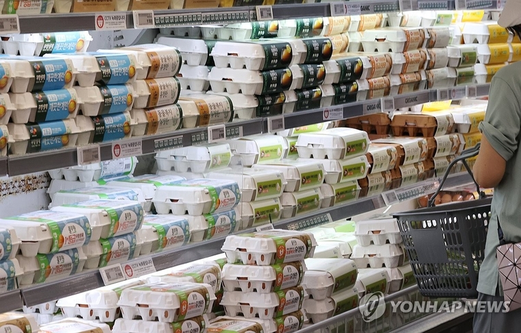 사진=연합뉴스