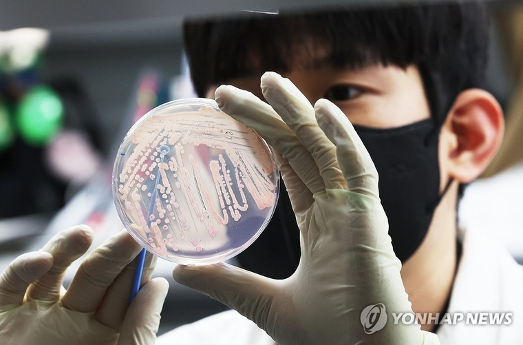사진=연합뉴스 