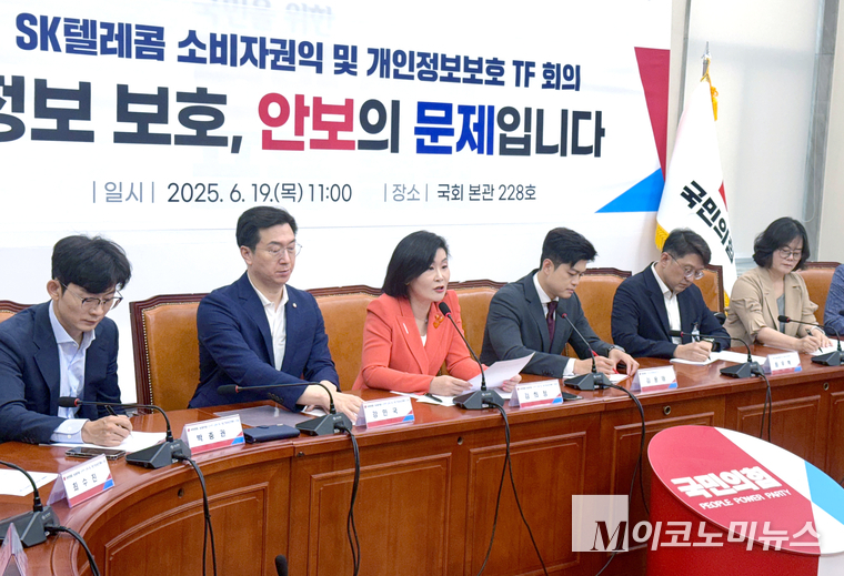 국민의힘 ‘SK텔레콤 소비자권익 및 개인정보보호 TF’가 19일 국회 본청에서 회의를 열고 있다. 사진=국민의힘