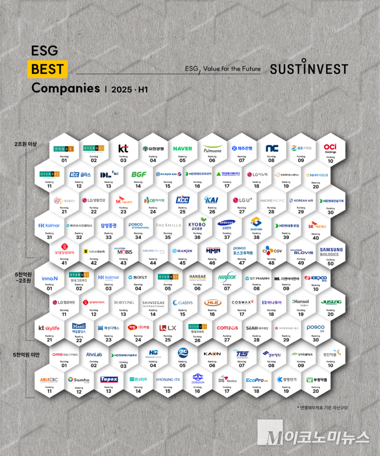 서스틴베스트 '2025년 상반기 ESG Best Companies'. 사진=동아쏘시오홀딩스.