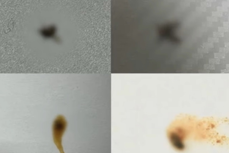 배달 음식에서 벌레가 나왔다고 속여 실형을 선고받은 대학생의 자작극 증거 사진. YTN 뉴스 캡처