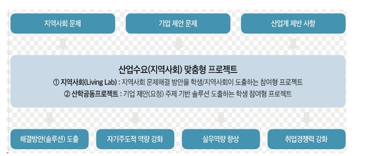 M 대학의 사례 