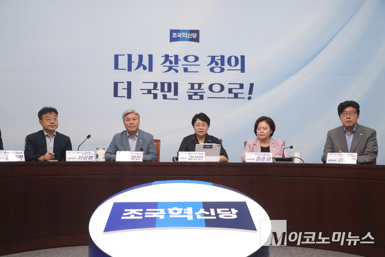 김선민 조국혁신당 대표 권한대행이 20일 국회 본관에서 열린 ‘끝까지간다’ 특별위원회회의에서 발언하고 있다. 사진=최동환 기자