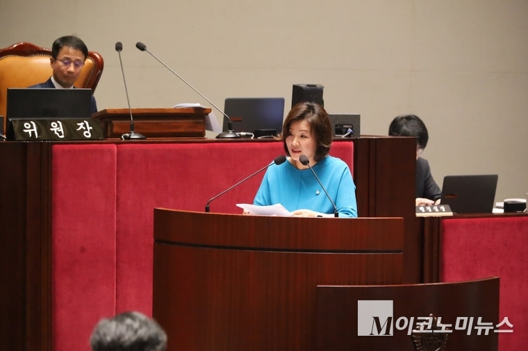 이수진 더불어민주당 의원이 국회 예결위에서 질의하고 있다. 사진=이수진 의원실.