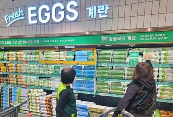 사진=롯데쇼핑 