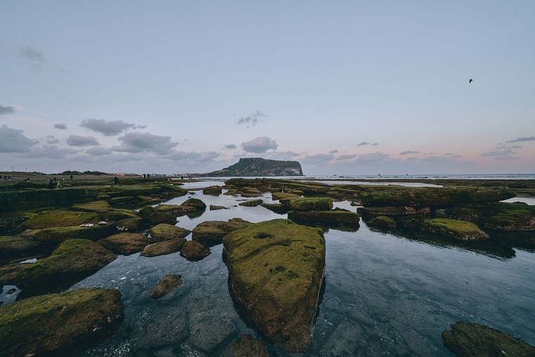 사진=제주올레길 홈페이지