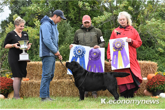▲ Labrador Retriever Club Of The Potomac Bare Bones 대회에서 1등을 차지한 강희춘씨와 '팝'