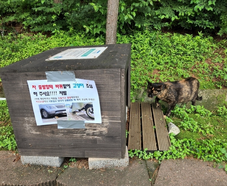 경기도가 추진하고 있는 길고양이 급식소 <경기도 제공>