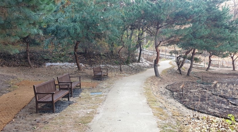 생태숲으로 준공된 숙지공원 모습 <수원시 제공>