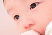 유산균에 대한 재조명 산양분유에 살아 있는 유산균을 넣다!