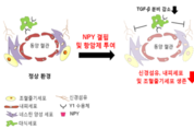 국내 연구진, 항암제 부작용 최소화 방법 개발