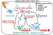 파킨슨 질환의 새로운 내인성 염증 병인체 발견
