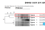 질병관리본부, 네 번째 콜레라 환자 유전자지문유형 달라