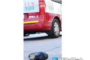 朴 탄핵 선고에 흥분한 탄기국, 경찰과 물리적 충돌