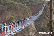 아찔하고 짜릿한 스릴..."원주 소금산 출렁다리 방문객 10만 명 돌파"