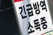 강원 양양 남대천에서 AI 바이러스 검출…방역 조치
