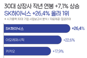 30대 기업 연봉 평균 7.1 올라...SK하이닉스 1위