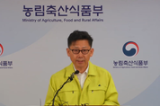 치사율 100 아프리카돼지열병 경기 파주서 확진…위기경보단계 최고 수준 '격상'