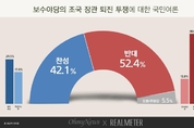 국민 절반 이상, 보수여당 '조국 퇴진 투쟁' 반대