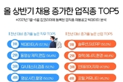 올 상반기 채용 증가한 직무 1위 ‘AI. 빅데이터 분야’
