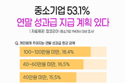 中企 2곳 중 1곳 "연말 성과급 지급"