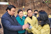 정희용, 고령군 소나무재선충병 방제 현장 점검