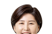 백혜련, 체납조세·지방세 분납할 수 있게 ...'개인회생제도 사각해소법' 발의