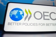 OECD 경제단체 하반기 경제전망 "좋음" 16에 그쳐