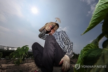 한여름도 아닌데...파주·광명 '낮 기온 40도' 충격