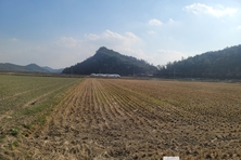 땅이 식지 않으면 밥상이 먼저 무너진다