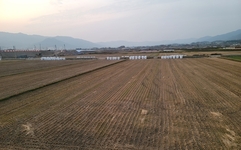 어째서 젊은이들은 농사 짓지 않으려고 할까?