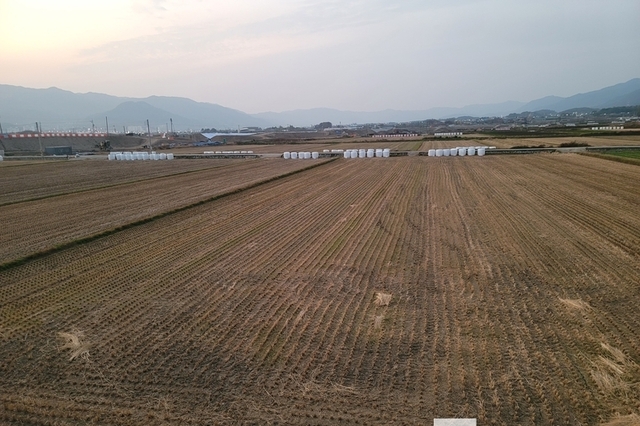 어째서 젊은이들은 농사 짓지 않으려고 할까?