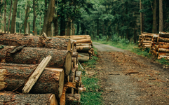 산림의 모세혈관 같은 임도(林道)···공익적 가치 재평가돼야