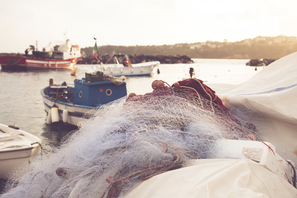 기후위기, ‘콘트롤타워’ 부재 속 어가 피해 급증...해법은?