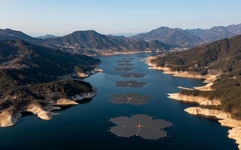 '물 위에 짓는 발전소'...수자원공사 수상태양광, 탄소중립·지역상생 모델로 부상