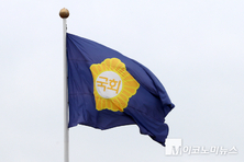 헌법개정 전문가들 “6월 지방 선거와 개헌 국민투표 바람직”