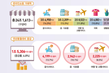 11월 온라인쇼핑 거래액 24조 돌파…음식·식료품이 성장 견인