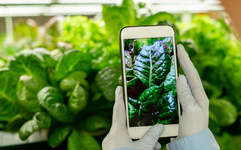 [심층] AI시대 농업의 현주소와 미래 대응 방안은?