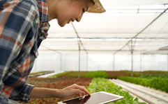 농협 ‘보급형 스마트팜’, 미래농업 실현 ‘선봉장’ 되나