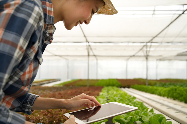 농협 ‘보급형 스마트팜’, 미래농업 실현 ‘선봉장’ 되나