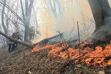 경주 산불 관련 국가동원령 발령···5개 시도 소방력 동원