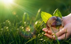 우리 마음은 어떻게 작동되는 것일까?