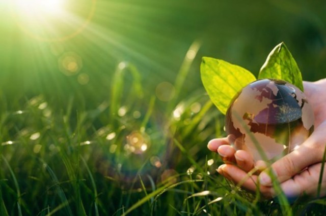 우리 마음은 어떻게 작동되는 것일까?