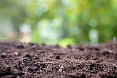 걱정을 멈추고, 가공식품을 사랑하라고?