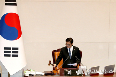 전남·광주 통합특별법 등 국회 통과...통합특별시 출범 법적으로 확정