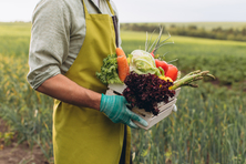 진짜 「바이오 해킹」은 흙에서 시작된다